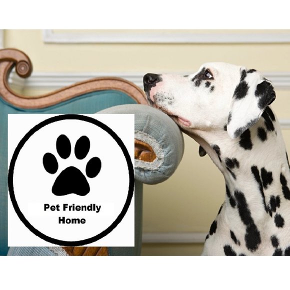 Meet your Posher, Ruth - Picture 4 of 13